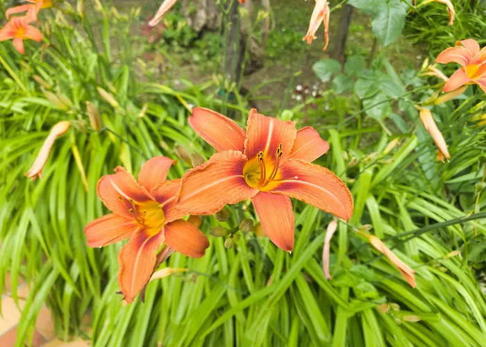 Casa Kendra Montegrotto Terme